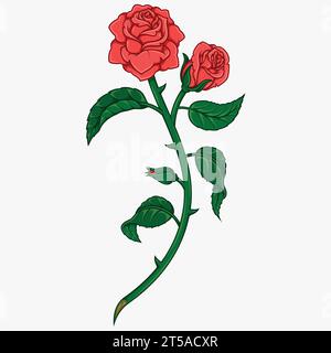 Vector design of a bouquet of roses, with leaves, petals and thorns, gift for lovers, plant for decoration Stock Vector