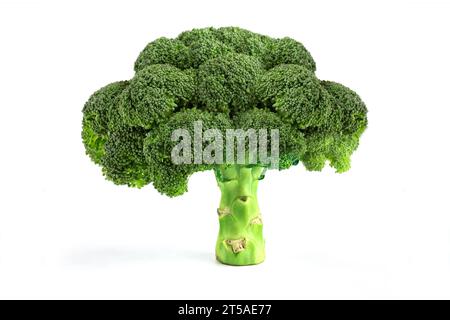 Broccoli isolated on white background, Fresh Broccoli Stock Photo