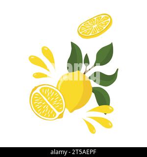 A bright composition is a sprig of lemon with a whole lemon half, flying splashes of lemon juice. Vector illustration on a white background. Stock Vector