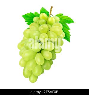 Fresh Grapes Isolated White Background Stock Photo