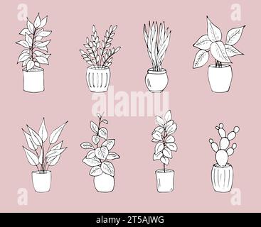 Different house plants in the pot.  Hand-drawn houseplants vector illustration. Potted plants collection. Set of interior house plants with flower pot Stock Vector