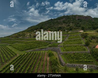 Vineyards and winery on mountain side. Vineyard agricultural fields in the countryside in an aerial view. Stock Photo