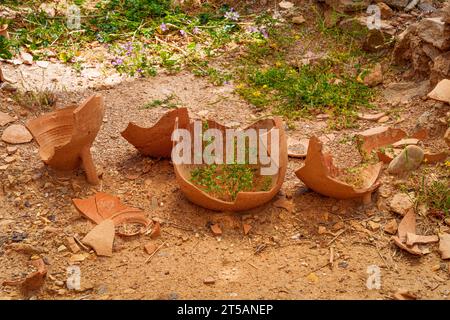 Old broken amphora with green plant in it Stock Photo