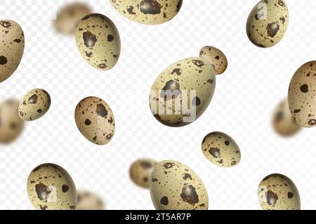 Flying quail eggs, isolated on white background. Falling spotted quail egg. Selective focus Can be used for advertising, packaging, banner, poster, pr Stock Vector
