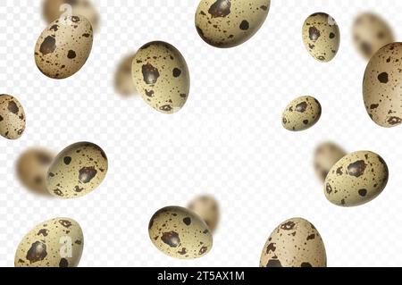 Flying quail eggs, isolated on white background. Falling spotted quail egg. Selective focus Can be used for advertising, packaging, banner, poster, pr Stock Vector
