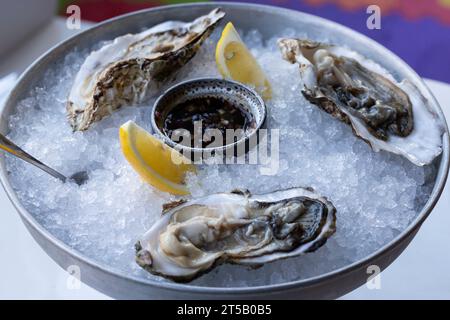 Fresh oysters on the halves of the shell are served in a plate with ice, lemons and sauce. The concept of healthy nutrition. Stock Photo