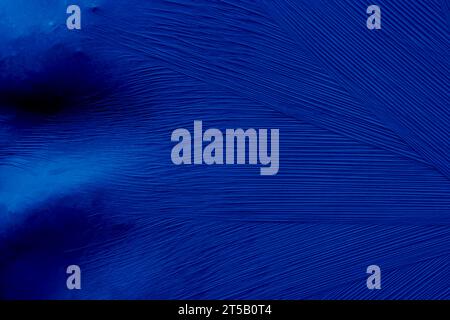 Blue abstract plastic foil background with 3d effect and bubbles Stock Photo