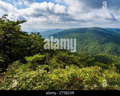 At Cranny Crow Overlook in West Virginia, you'll discover a world of wild and wonderful nature. The landscape is a captivating blend of rugged terrain Stock Photo