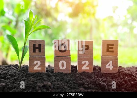 Year 2024 in wooden blocks cubes with growing plant at sunrise. New year 2024 hope concept. Stock Photo