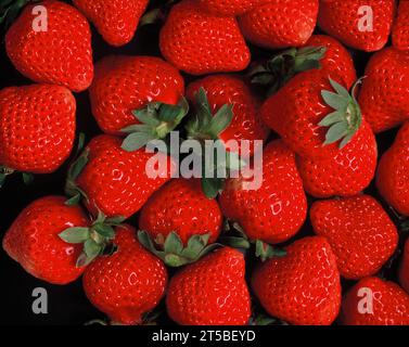 Still life. Food close-up. Fresh Strawberries. Stock Photo