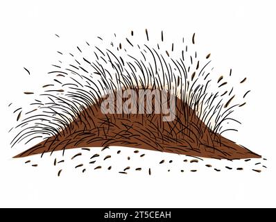 Drawing of Illustration of isolated seeding on white background illustration separated, sweeping overdrawn lines. Stock Vector