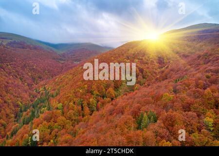 Aerial view of forest in foliage season. Natural green, orange and yellow background. Photo from the drone. Stock Photo