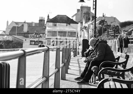 Lyme Regis Peral of Dorset Jurassic Coast Dorset Stock Photo