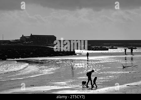 Lyme Regis Peral of Dorset Jurassic Coast Dorset Stock Photo