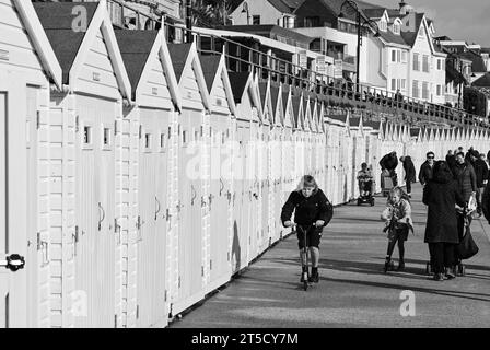 Lyme Regis Peral of Dorset Jurassic Coast Dorset Stock Photo