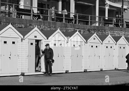 Lyme Regis Peral of Dorset Jurassic Coast Dorset Stock Photo