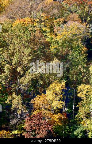 Fall colors Multicolor autumn Stock Photo - Alamy