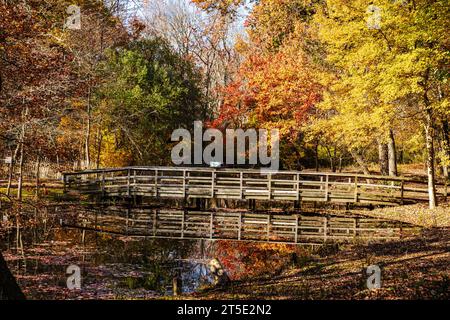 A wooden bridge spans a still lake surrounded by trees of Autumn color with red yellow and green leaves over the reflecting pond Stock Photo