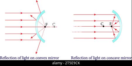 The reflection from convex and concave mirrors ,Reflection and spherical mirrors , optics.Vector illustration. Stock Vector