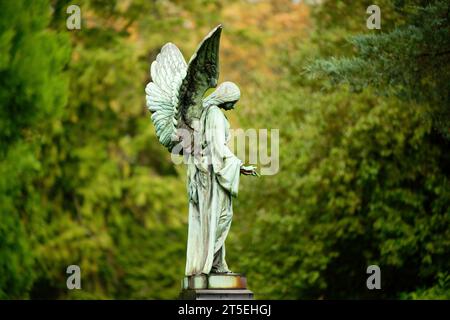 a historic old angel with spread wings stands on a pedestal in front of a blurred background at the melaten cemetery in cologne Stock Photo