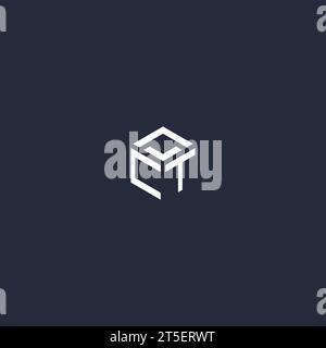 CT initial hexagon logo design inspiration Stock Vector