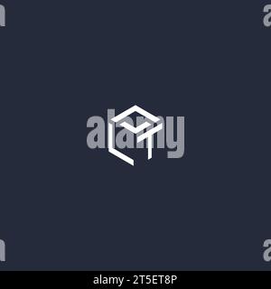 LT initial hexagon logo design inspiration Stock Vector