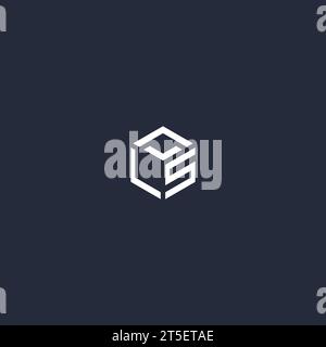 LS initial hexagon logo design inspiration Stock Vector