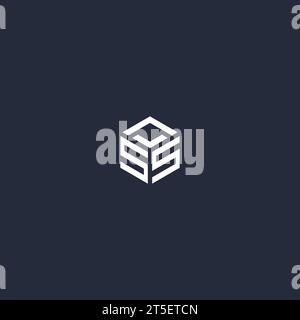 SS initial hexagon logo design inspiration Stock Vector