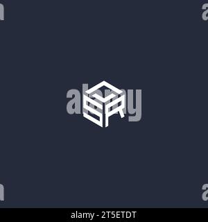 SR initial hexagon logo design inspiration Stock Vector