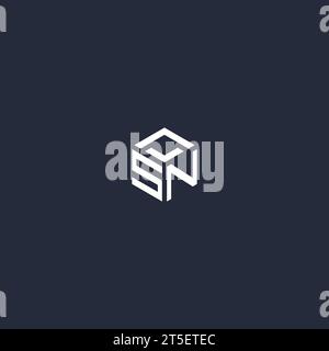 SN initial hexagon logo design inspiration Stock Vector