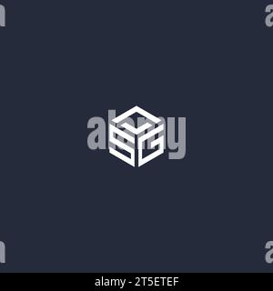 SG initial hexagon logo design inspiration Stock Vector