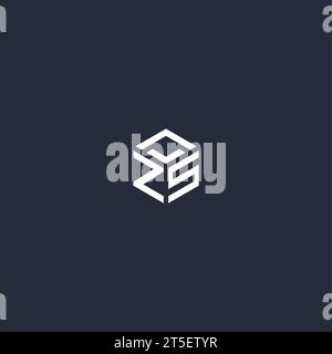 ZS initial hexagon logo design inspiration Stock Vector