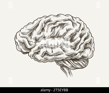 Brain minimalistic sketch vector concept Stock Vector