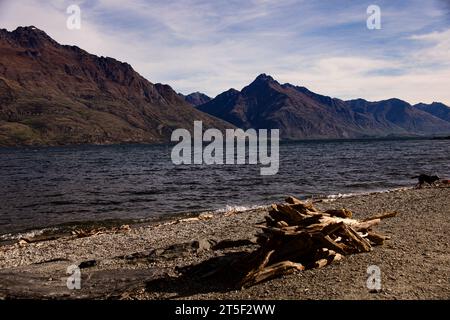 Lake Wakatipu shoreline with some washed up branches which may be destined for a fire on the shoreline. Dog in the background having fun with his toy. Stock Photo