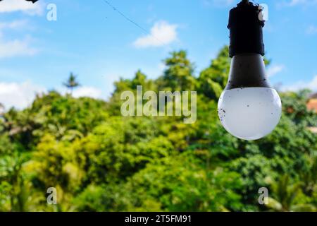 White hanging light bulbs against a backdrop of green trees Stock Photo