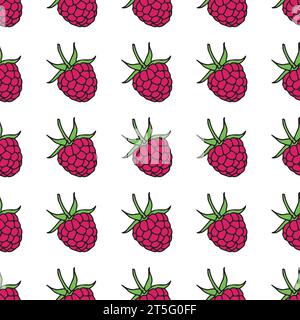 raspberries seamless pattern. Seamless background with raspberry. Vector illustration. Stock Vector