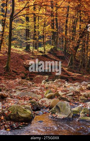 narrow water stream in the forest. stones on the shore covered in fall foliage. beautiful nature background in autumn Stock Photo