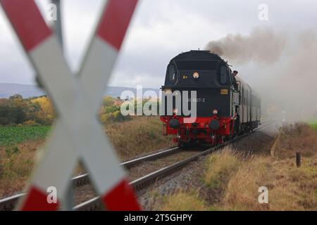 Blankenburg, Germany. 05th Nov, 2023. A class 95027 steam locomotive passes a level crossing in the direction of Halberstadt. The special trip of steam locomotive 95 027 took place on the 100th birthday of the steam locomotive. The Rübelandbahn working group had the historic steam locomotive run from Blankenburg to Halberstadt on two days. Credit: Matthias Bein/dpa/Alamy Live News Stock Photo