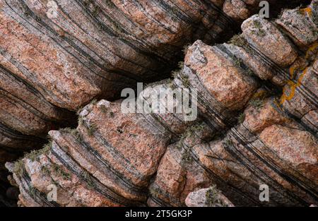 Grey and pink gneiss metamorphic rock Stock Photo