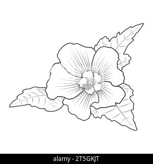 Hardy hibiscus syriacus outline, botanical vector illustration. Perennial hibiscus flower coloring book page. Stock Vector