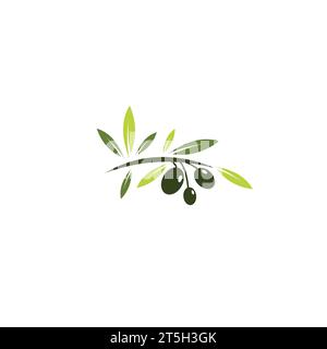 olive oil logo vector. olive oil illustration Stock Vector