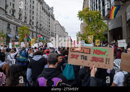 Washington, DC - 11-4-2023: Ceasefire Now Signs at Pro-Palestine March Stock Photo