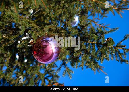 Ball on the Christmas tree close-up Stock Photo