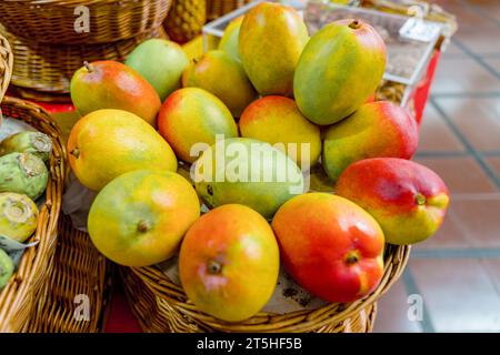 fresh mango apple fruits in a basket in an outdoors garden Stock Photo