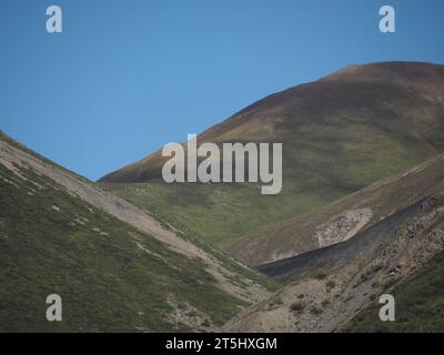 mountain scenery with dall sheep herd Stock Photo