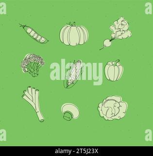 Vegetables icons peas, pumpkin, radish, broccoli, corn, pepper, leek, champignon, cabbage drawing in linear style on white background Stock Vector