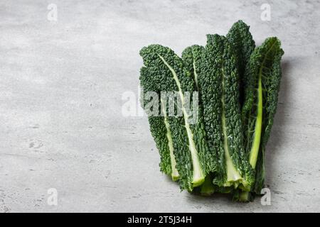 Fresh leaves of tuscan black cabbage or cavolo nero or lacinato kale on a gray textured background Stock Photo
