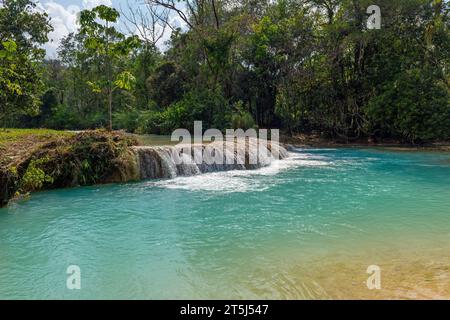 Agua Azul cascades and waterfalls with tropical rainforest, Chiapas, Mexico. Stock Photo