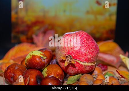 Fresh ripe organic medlar fruit, pomegranate and jujube among autumn leaves. Stock Photo