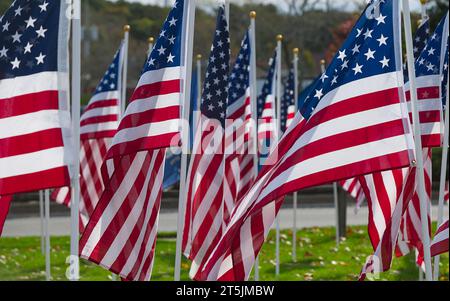 Flags representing the various US Armed Forces flying in Dennis, Massachusetts, on Cape Cod.   For Veteran's Day. Stock Photo